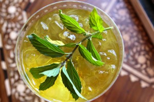 Lemon verbena