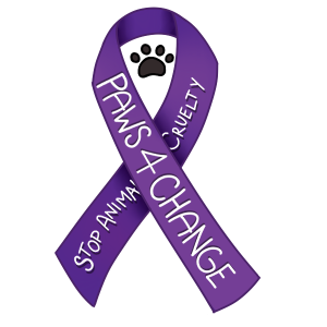 Stop animal cruelty ribbon magnet