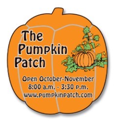pumpkin shaped magnet