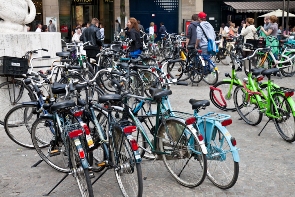 bikes for the whole family