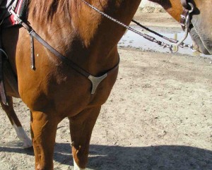 horse breast collar