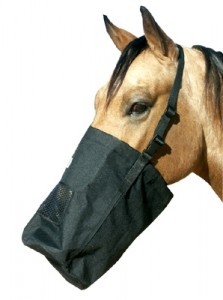 horse-feeding-bag