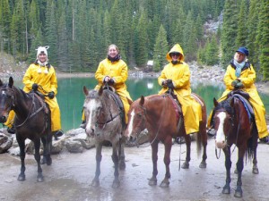 horse rain gear