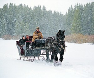 couple on sleigh ride in snow
