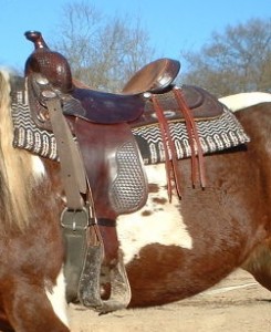 saddle pad
