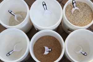 Food storage bins