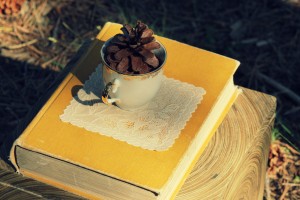 teacup on lace on a book