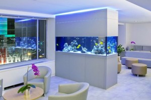 waiting room aquarium
