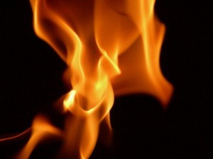 Burn Ointment