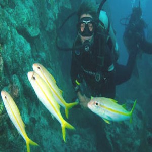 Scuba Diving