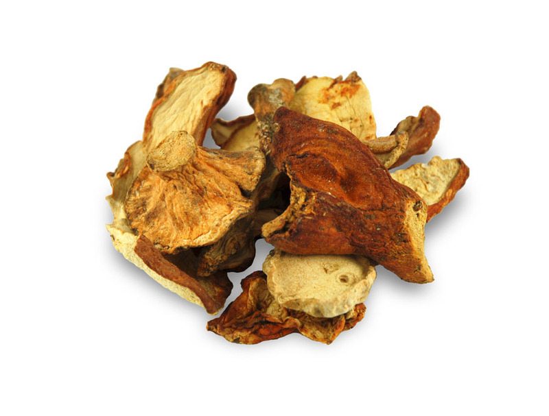 lobster mushrooms