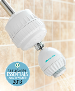 Shower filter
