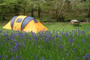 camping tent in field