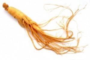 Ginseng