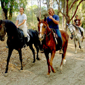 people riding horses