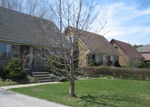 small houses 