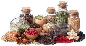 spices herbs for weight loss 