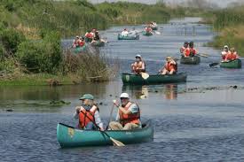 people kayaking on river