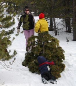 Create new traditions