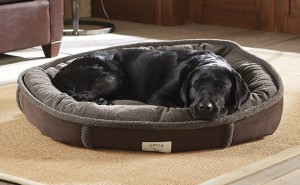 memory foam dog bed