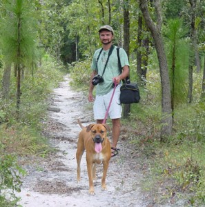 Fleas and tick spray