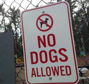 Know the local laws