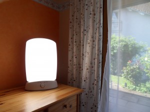 full spectrum light box