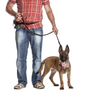 walking the dog
