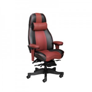 egonomic office chair