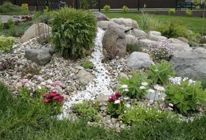 rock garden