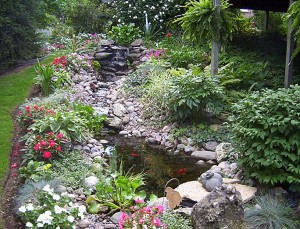 water garden