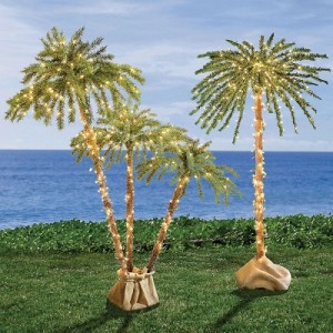 We’re Going to Need Palm Trees