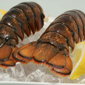 Lobster