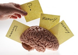 memory support
