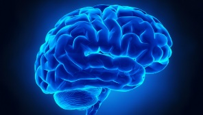 stimulate the brain