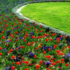 naturalizers for the garden