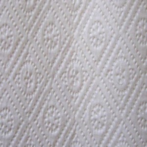 paper towel
