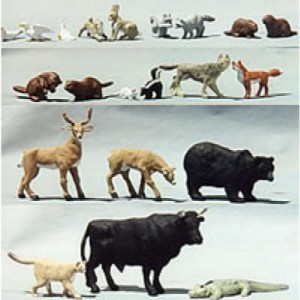animals
