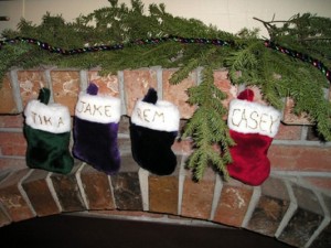 Your Child’s First Christmas