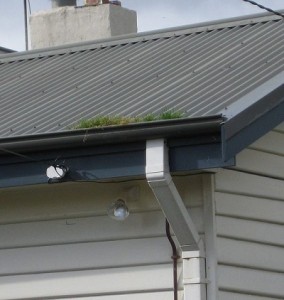 De-Gunk Gutters