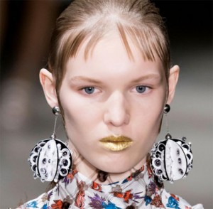 Wild earrings
