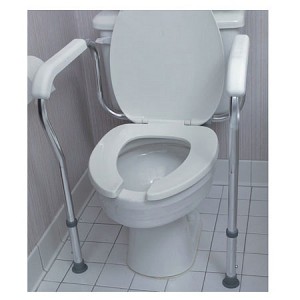 Toilet Arm Support