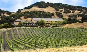 Personal winery tour