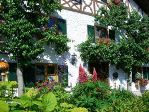 plants for natural landscaping