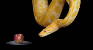 Triumph over temptation