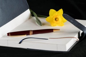 The journal