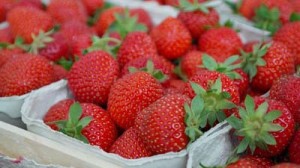 1,000 Diabetes Recipes