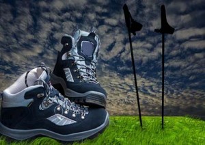 Hiking cane