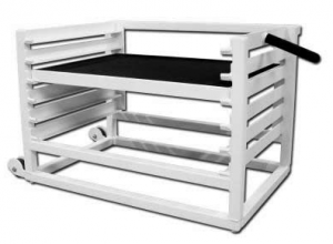 platform step