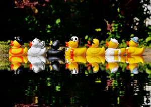 DÉCOR – Glitter ducks